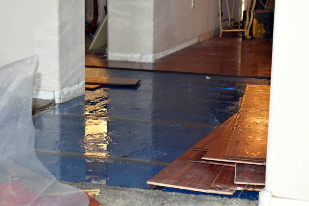 Professional Burst Pipe Cleanup technician working in Blue Creek, OH