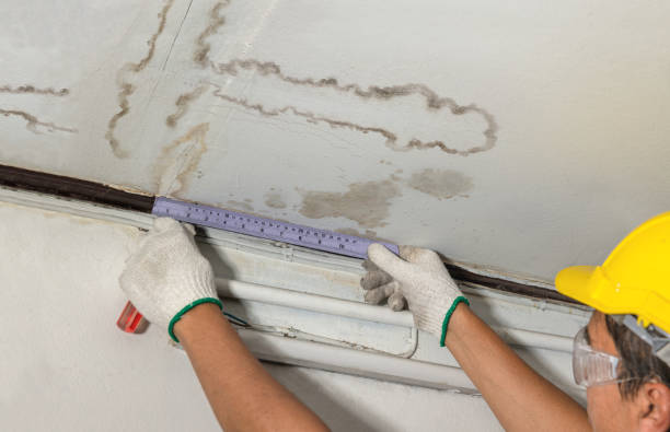 Reliable Burst Pipe Cleanup contractor in Blue Creek, OH by Water Damage Irwin